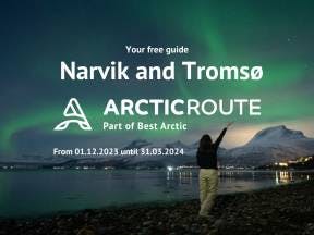 Narvik to Tromsø (3)